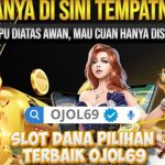 OJOL69 (4)